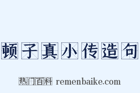 顿子真小传造句是什么意思的图片